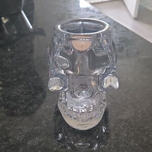 Crystal Skull Glass Vase